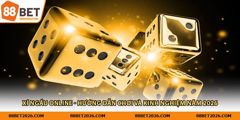 Xí Ngầu Online - Hướng Dẫn Chơi Và Kinh Nghiệm Năm 2026